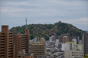 展望台から見た松山城その一