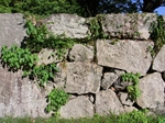 二の丸枡形虎口の石垣