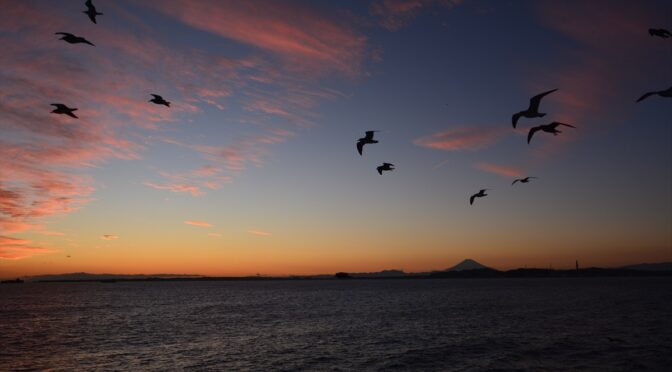 城ヶ島ウォーキングと東京湾フェリーからの夕焼け