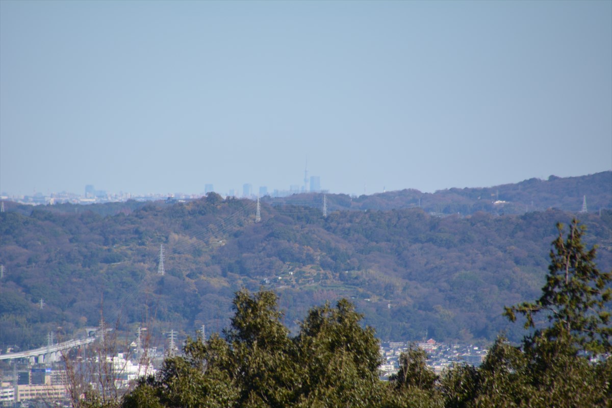 石垣山から見たスカイツリー（2023年12月17日）